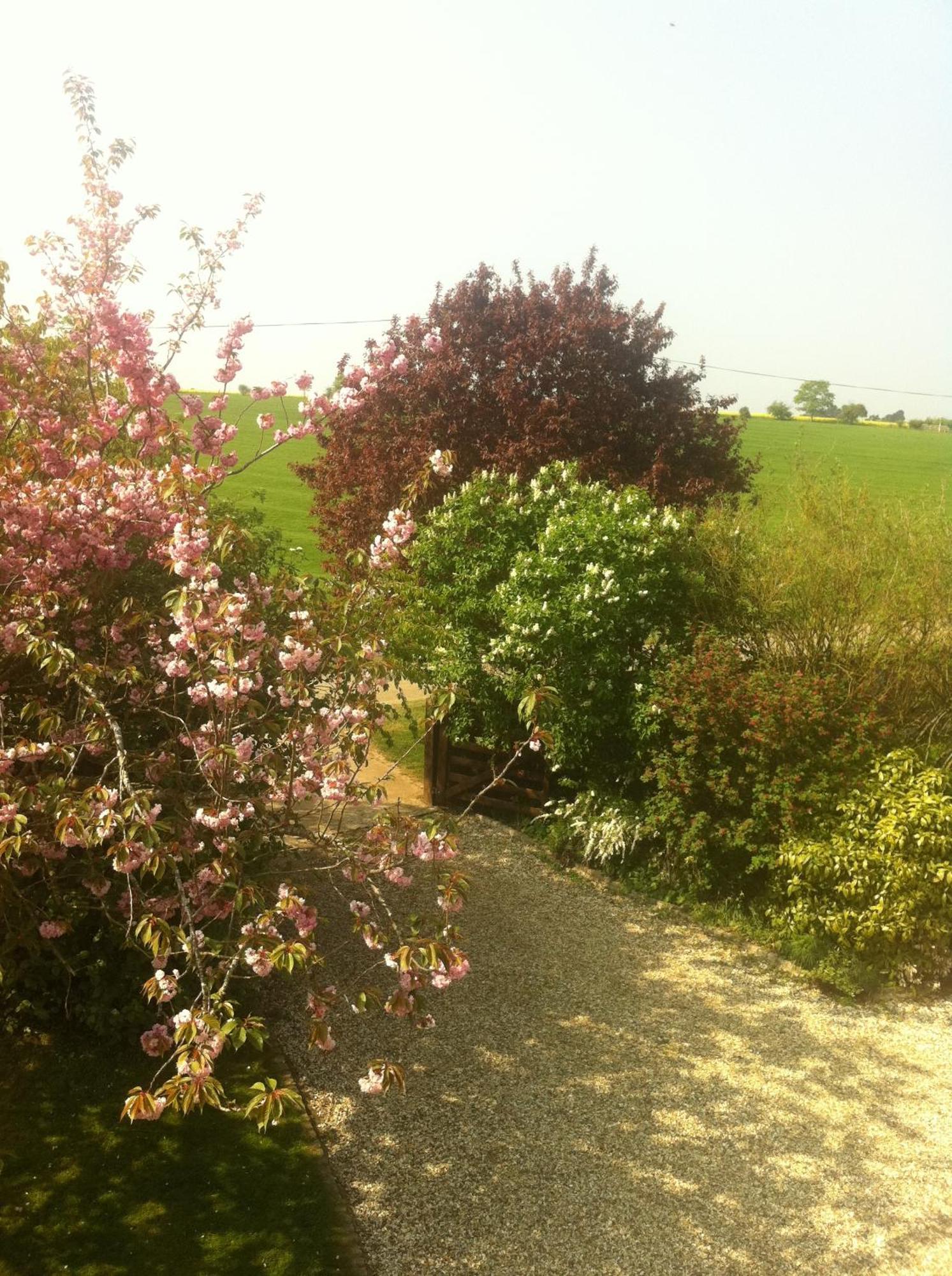 Whitchurch Farm Guesthouse Alderminster ภายนอก รูปภาพ